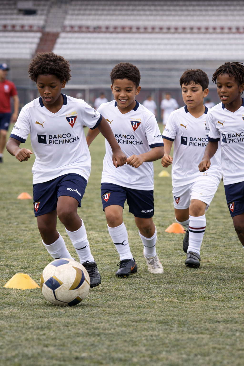 Imagen de la categoría