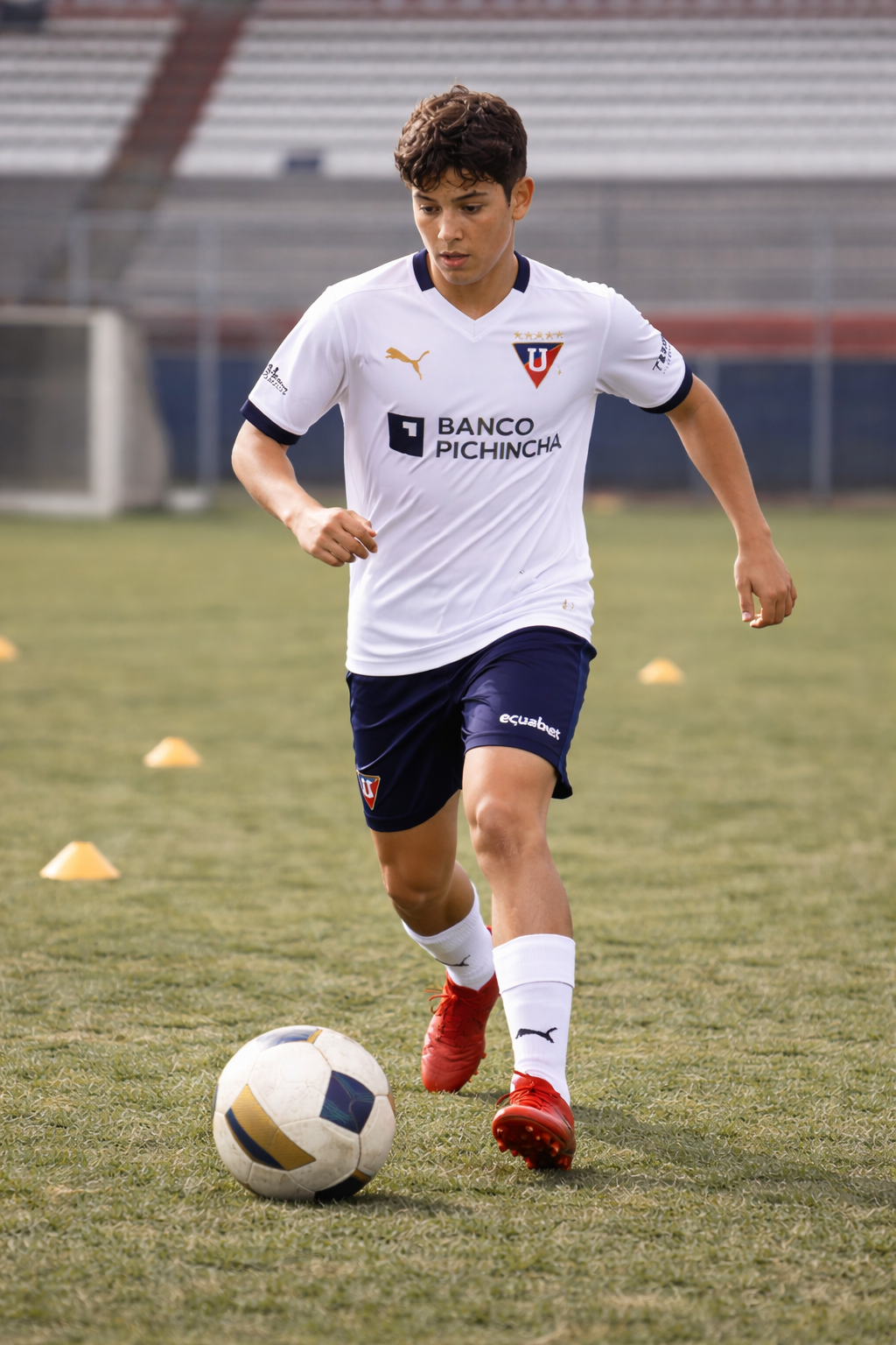 Imagen de la categoría