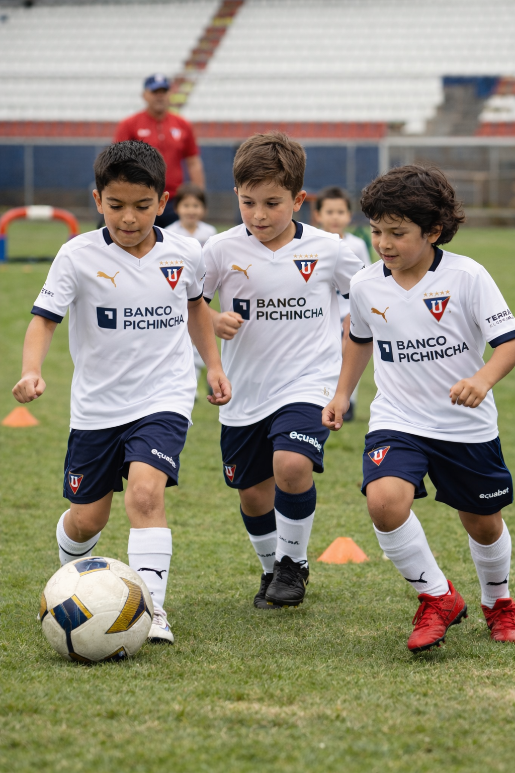 Imagen de la categoría